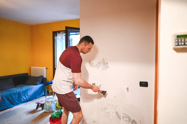 Best Commercial Mold Removal  in Fountainebleau, FL